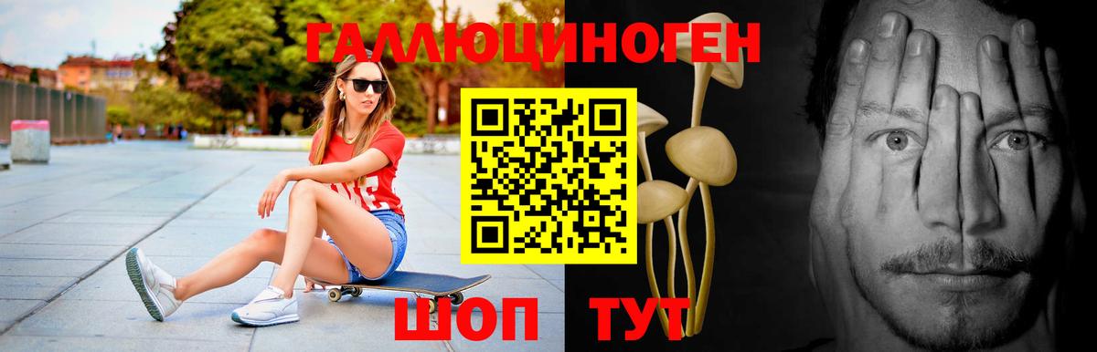Галлюциногенные грибы Psilocybine cubensis Сертолово